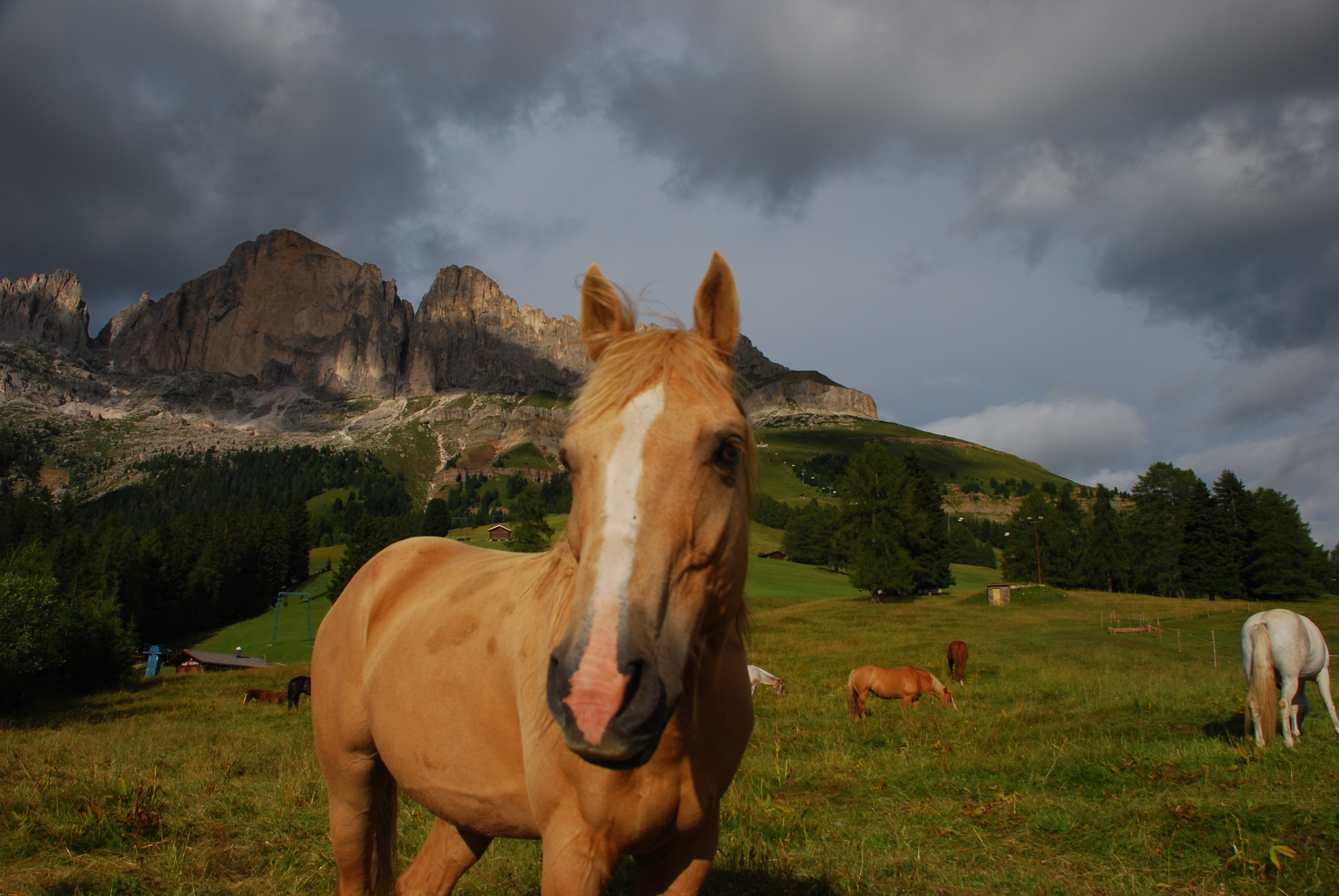 Itálie 2010 Dolomity 089
