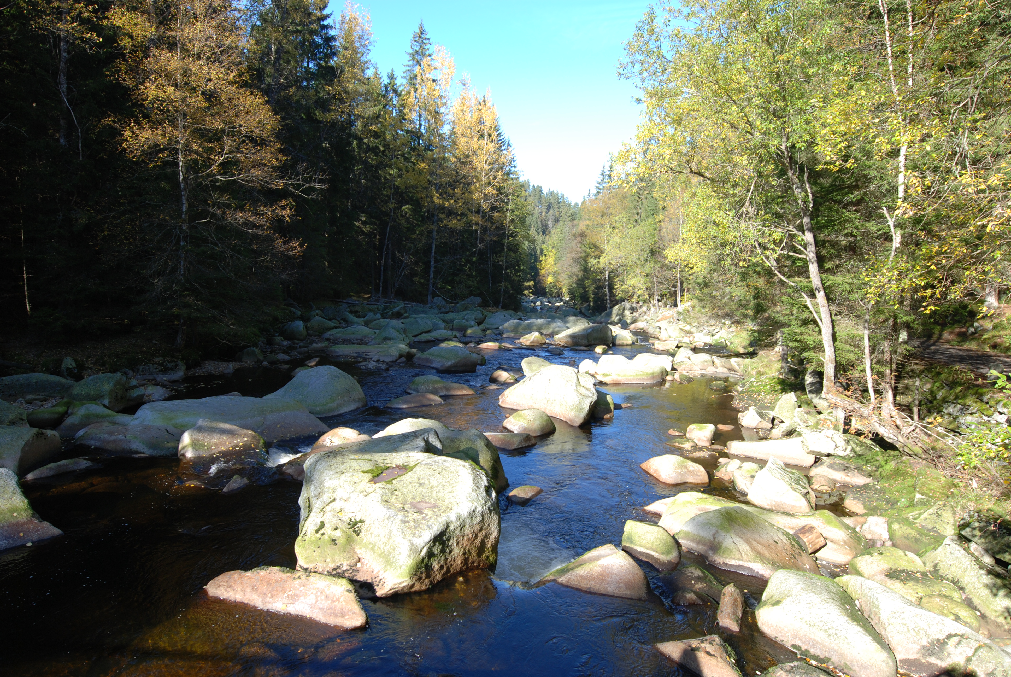 Šumava 2