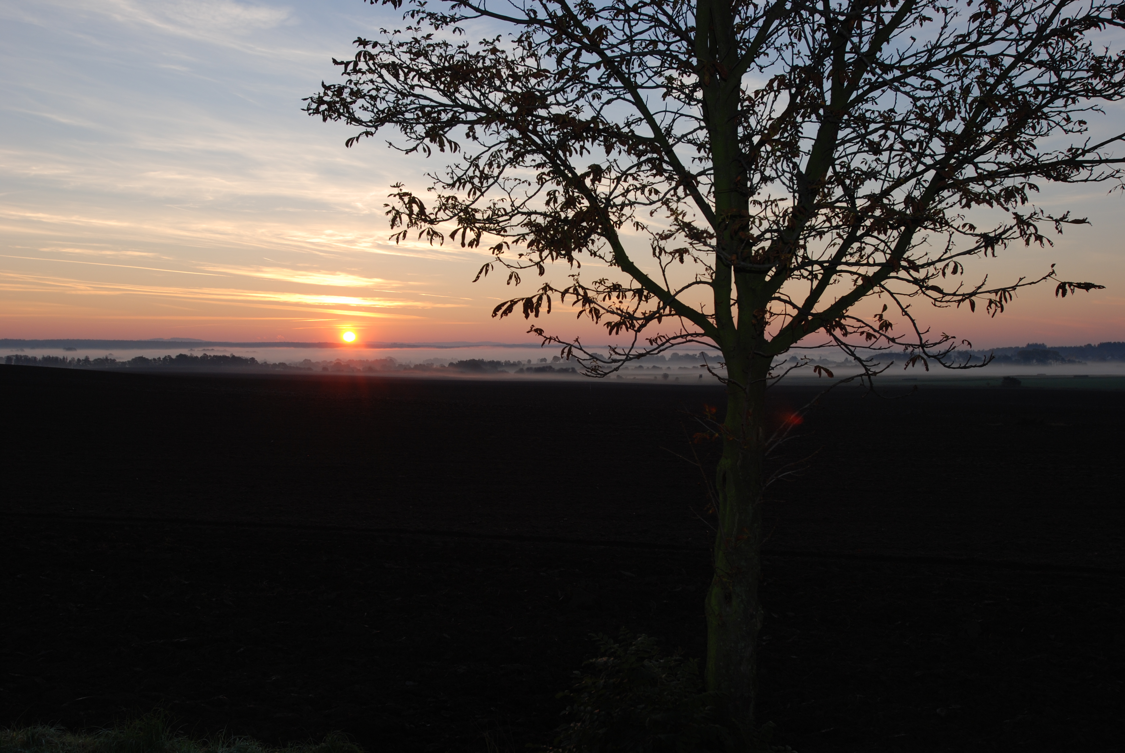 Šumava