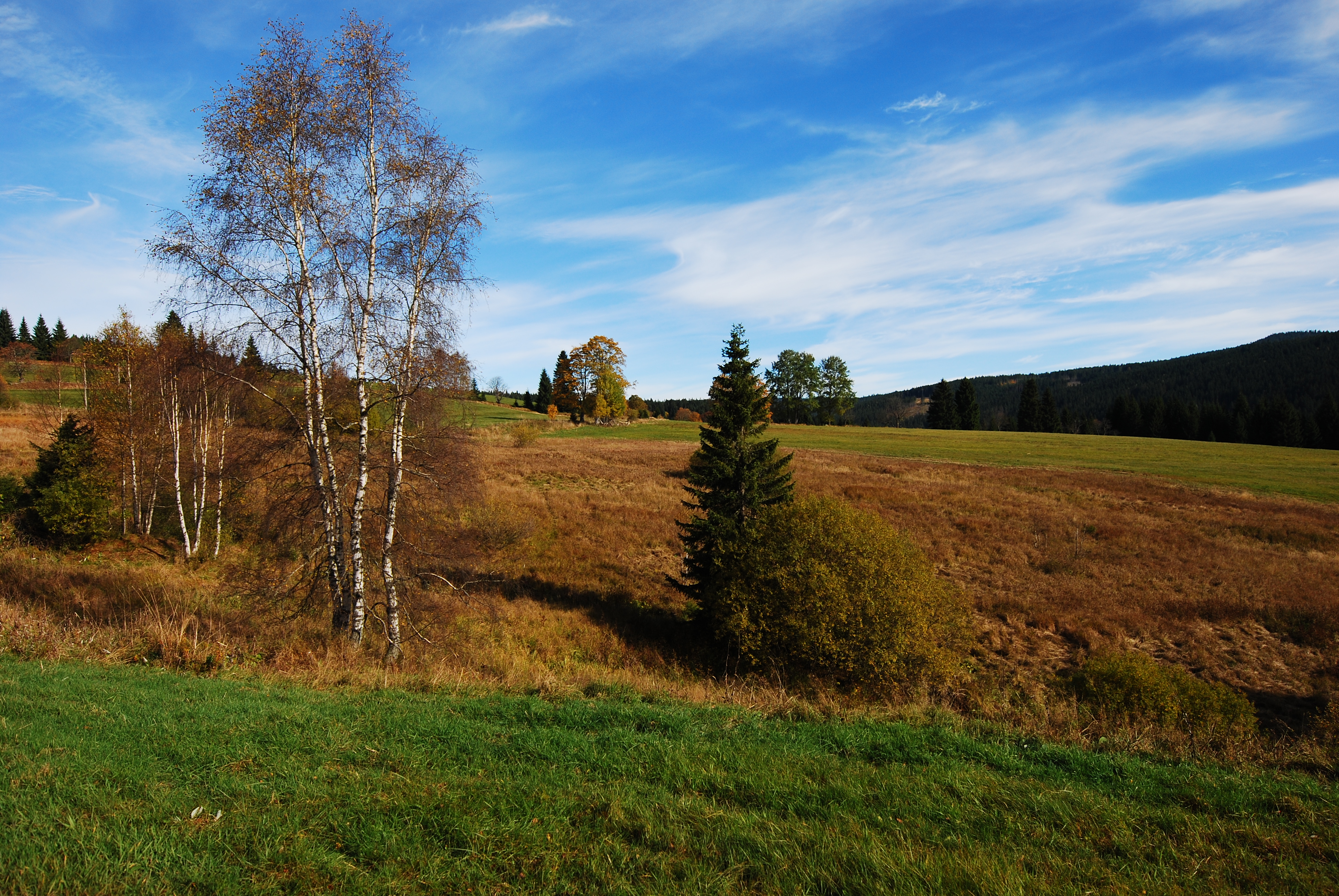 Šumava 2010 067